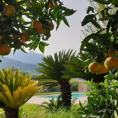 Terra Vitale Cava deʼ Tirreni Extérieur photo